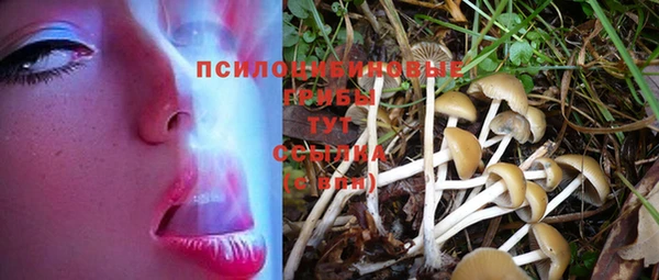 таблы Корсаков