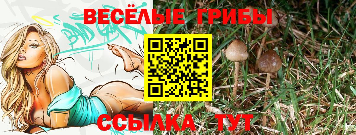 Миасс  купить наркотик  Вход с VPN  Галлюциногенные грибы ЛСД  Галлюциногенные грибы Magic Shrooms 