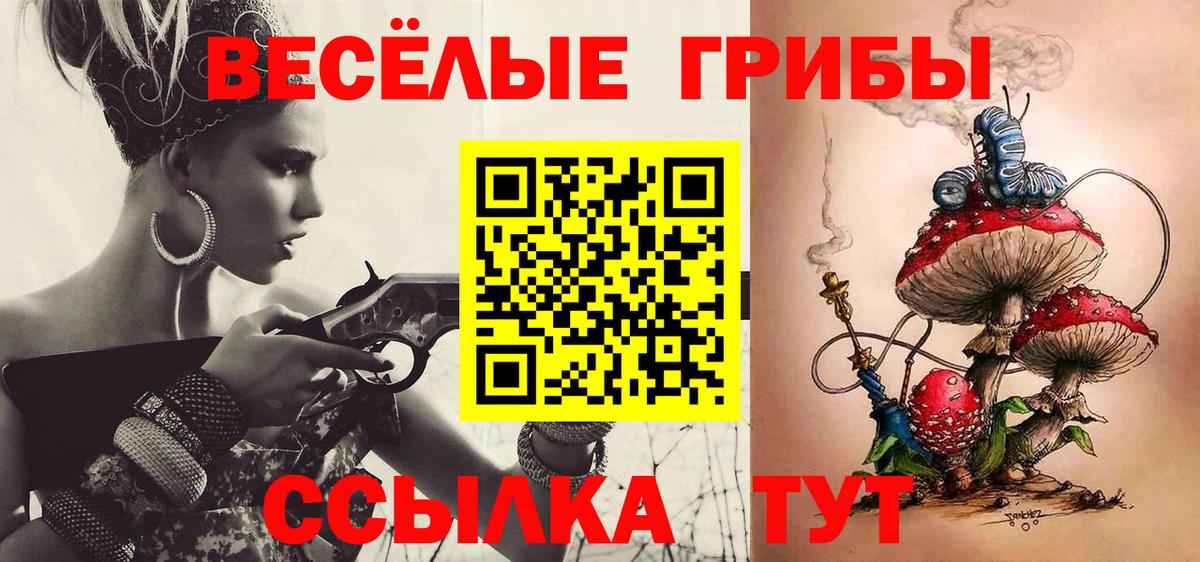 Псилоцибиновые грибы Cubensis Миасс