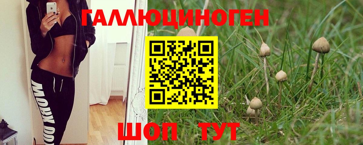 A PVP СОЛЬ   Конопля  Миасс  ГЕРОИН  Вход с VPN  ГАШ  Кокаин  Меф МЯУ МЯУ  